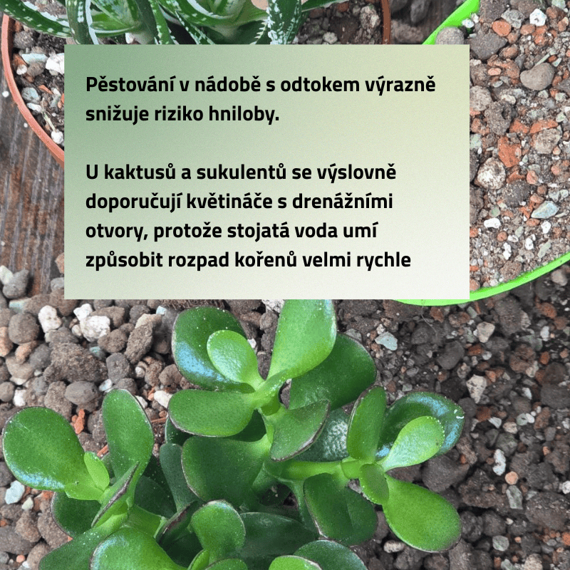 Mix č. 3 Pro kaktusy a sukulenty 